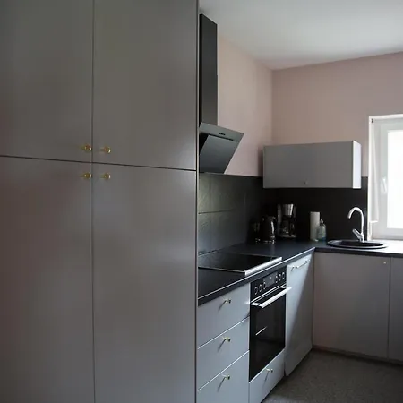 Apartment 1 Zimmer Friesenheim  Exterior photo